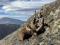 dakotasafaris@gmail.com аватар